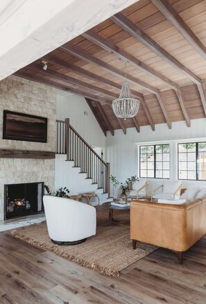 Télévision, cheminée, livres, espaces bureaux