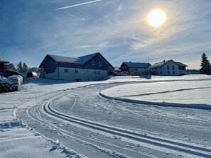 Exterior - ELI's vacation apartment (Oberreute)