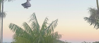 Hostel Zen - Casa na Floresta