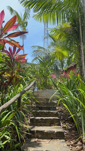 Hostel Zen - Casa na Floresta