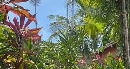 Hostel Zen - Casa na Floresta