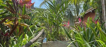 Hostel Zen - Casa na Floresta