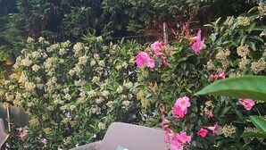Ein Außenbereich mit Korbmöbeln und einer gepolsterten Couch, umgeben von üppigem Grün und blühenden Pflanzen.