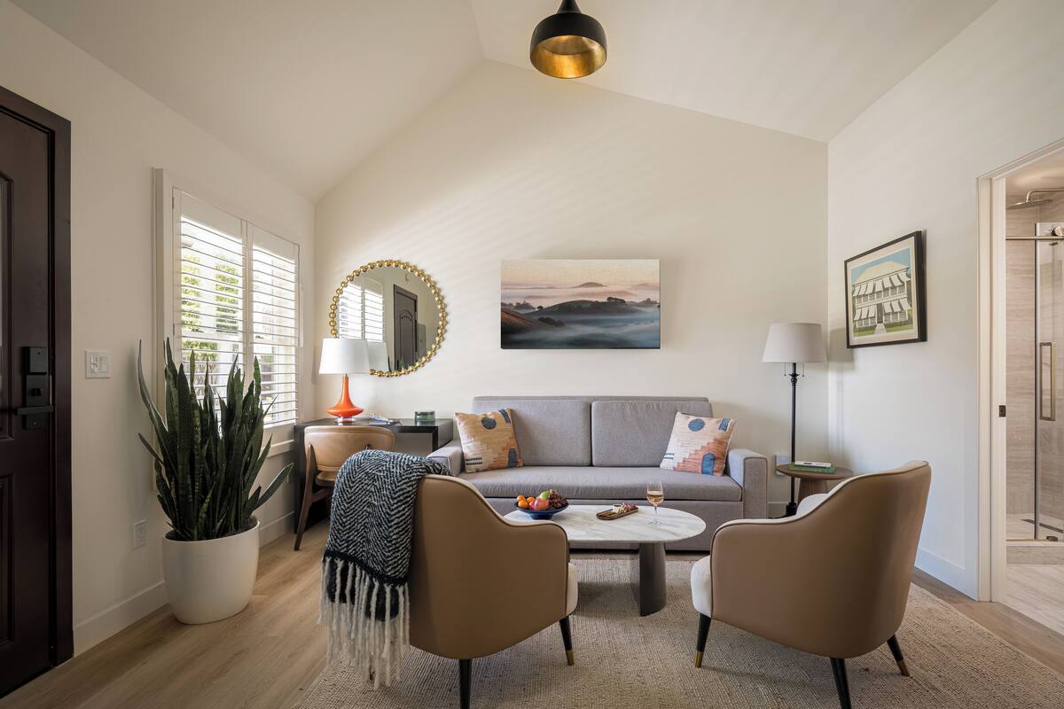 A modern living room with a grey sofa, two armchairs, a coffee table, and a large potted plant.