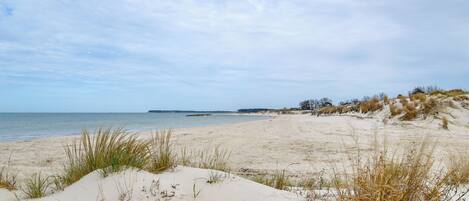 Plage à proximité