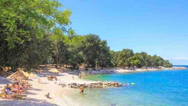 A beach with clear blue water, a sandy shore, and dense green trees. - La Dolce Nikka - Apartment (Rovinj)
