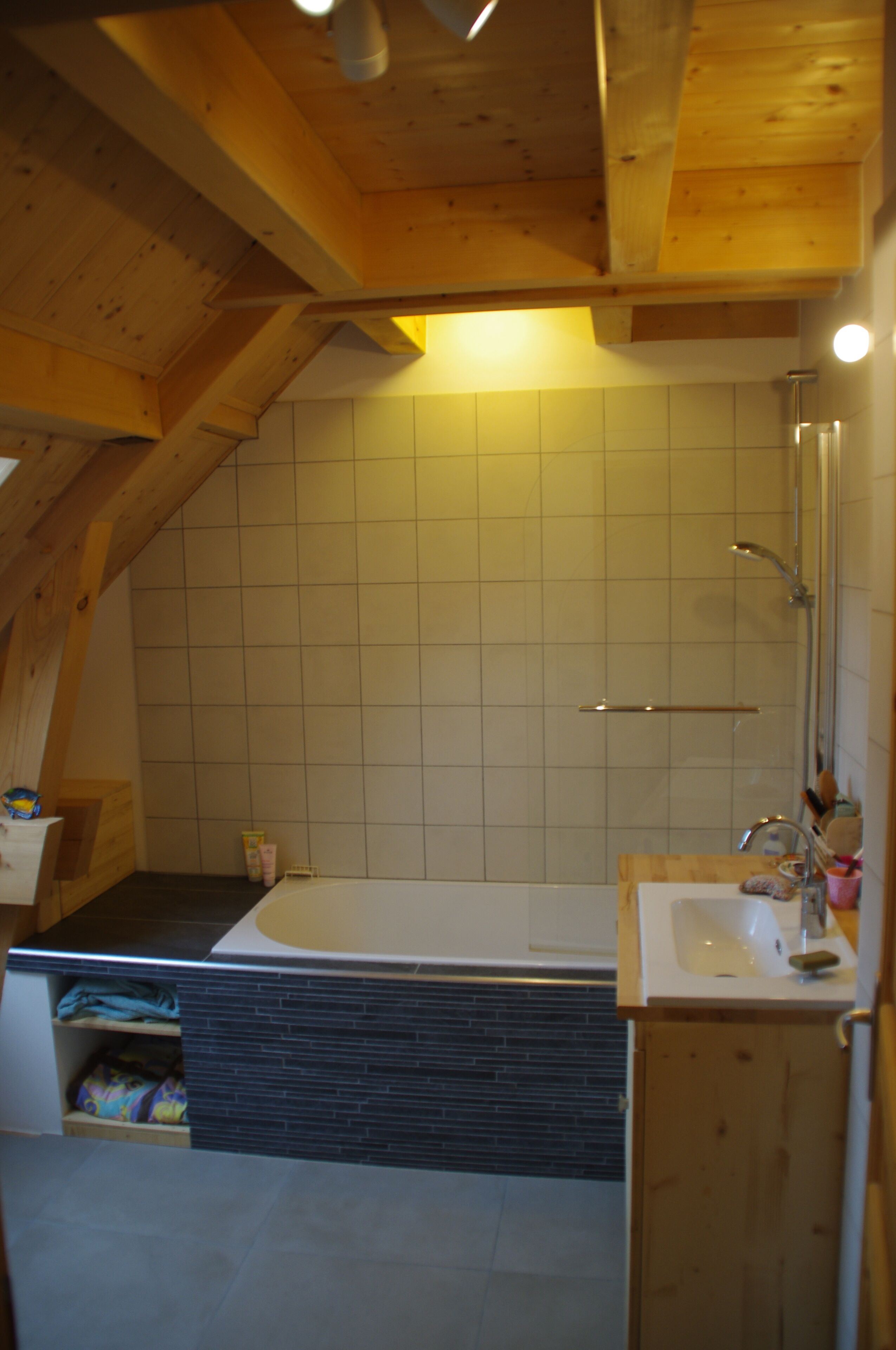 Shower, toilet paper