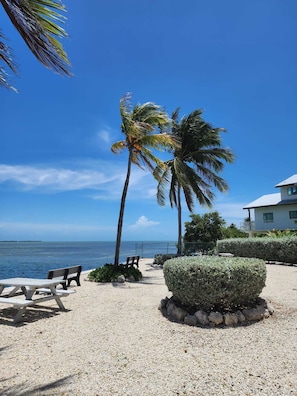A beachside area with a gravel path, benches, and a well-maintained hedge.