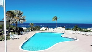 Una piscina de borde curvo, rodeada de sillas de descanso y palmeras, con vista a un océano azul y despejado.
