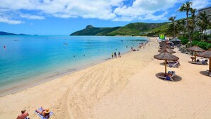 A beach with clear turquoise water, a sandy shore, and palm trees. - Poinciana 012 Hamilton Island & Buggy (Whitsundays)