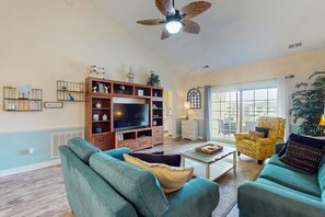 TV, DVD player, video library