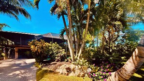 Un jardin tropical avec des palmiers, un sentier en pierre et un bâtiment doté d’un toit en verre.