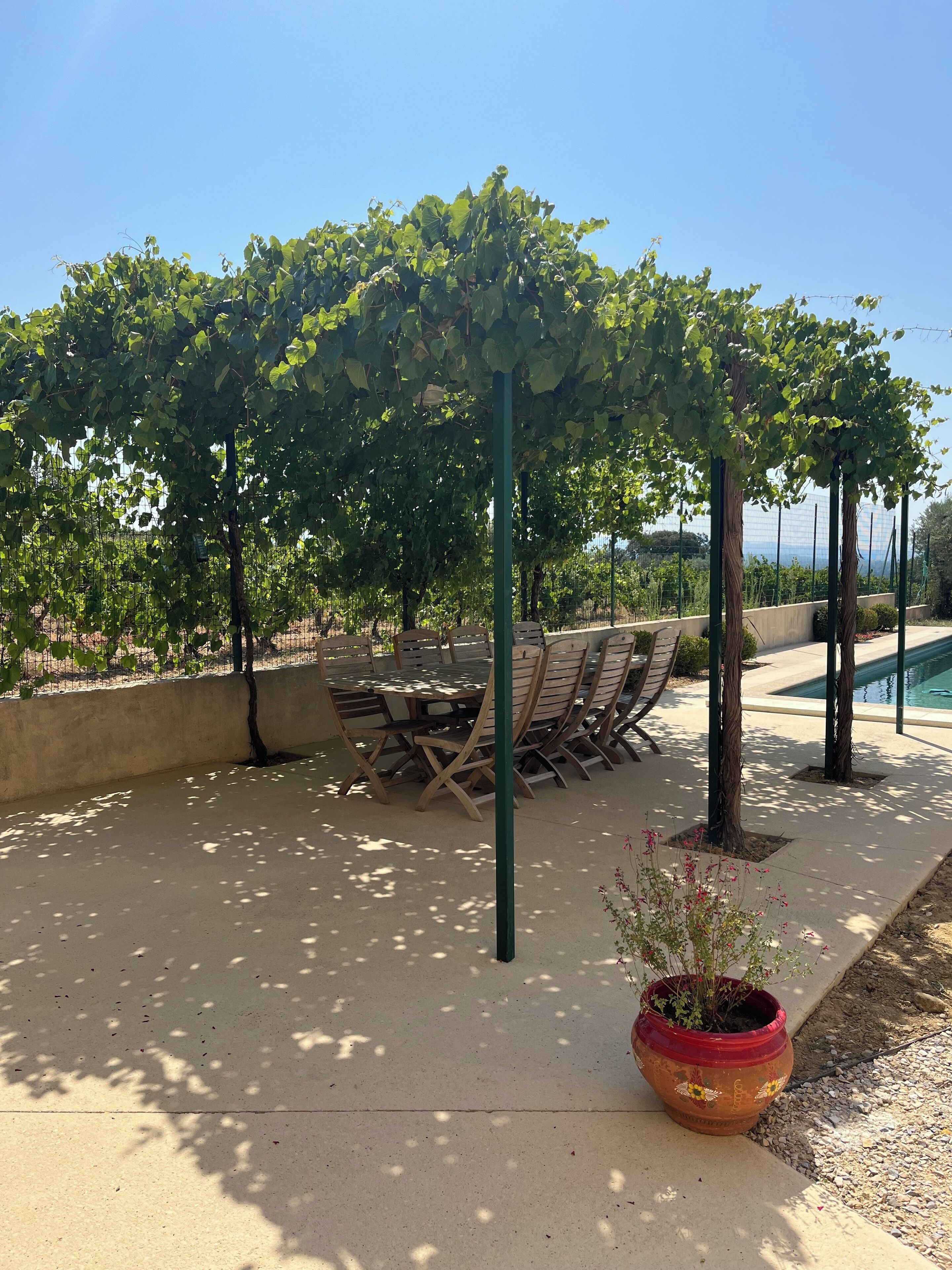 A covered outdoor seating area with a pergola, a pool, and a potted plant.