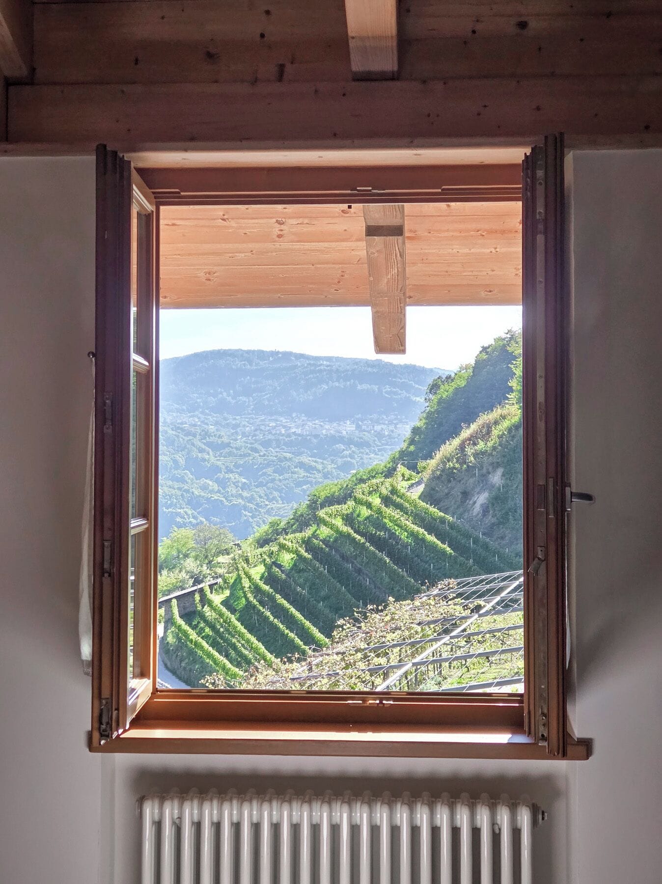 Superior-Doppelzimmer, Blick auf den Weinberg