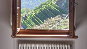 A window with a view of terraced vineyards and a distant mountain range. - AGRITURISMO VALFRAJA (Cembra)