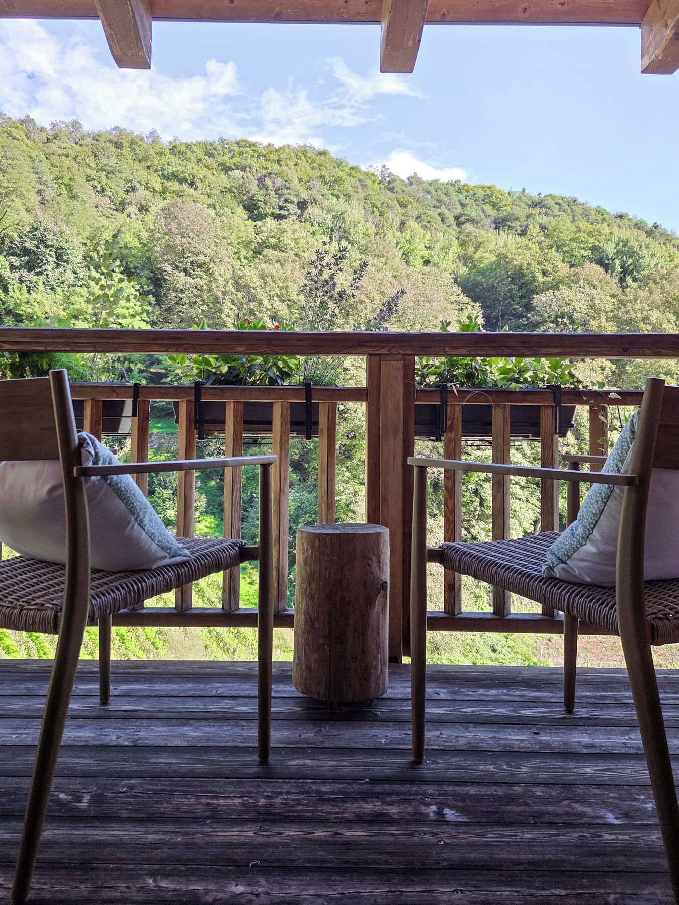 Chambre Double Deluxe, vue vignoble