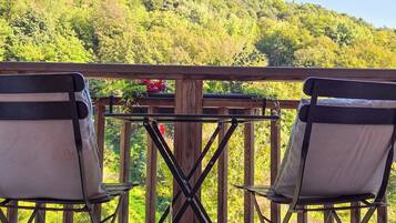 Standard-Einzelzimmer, Blick auf den Weinberg