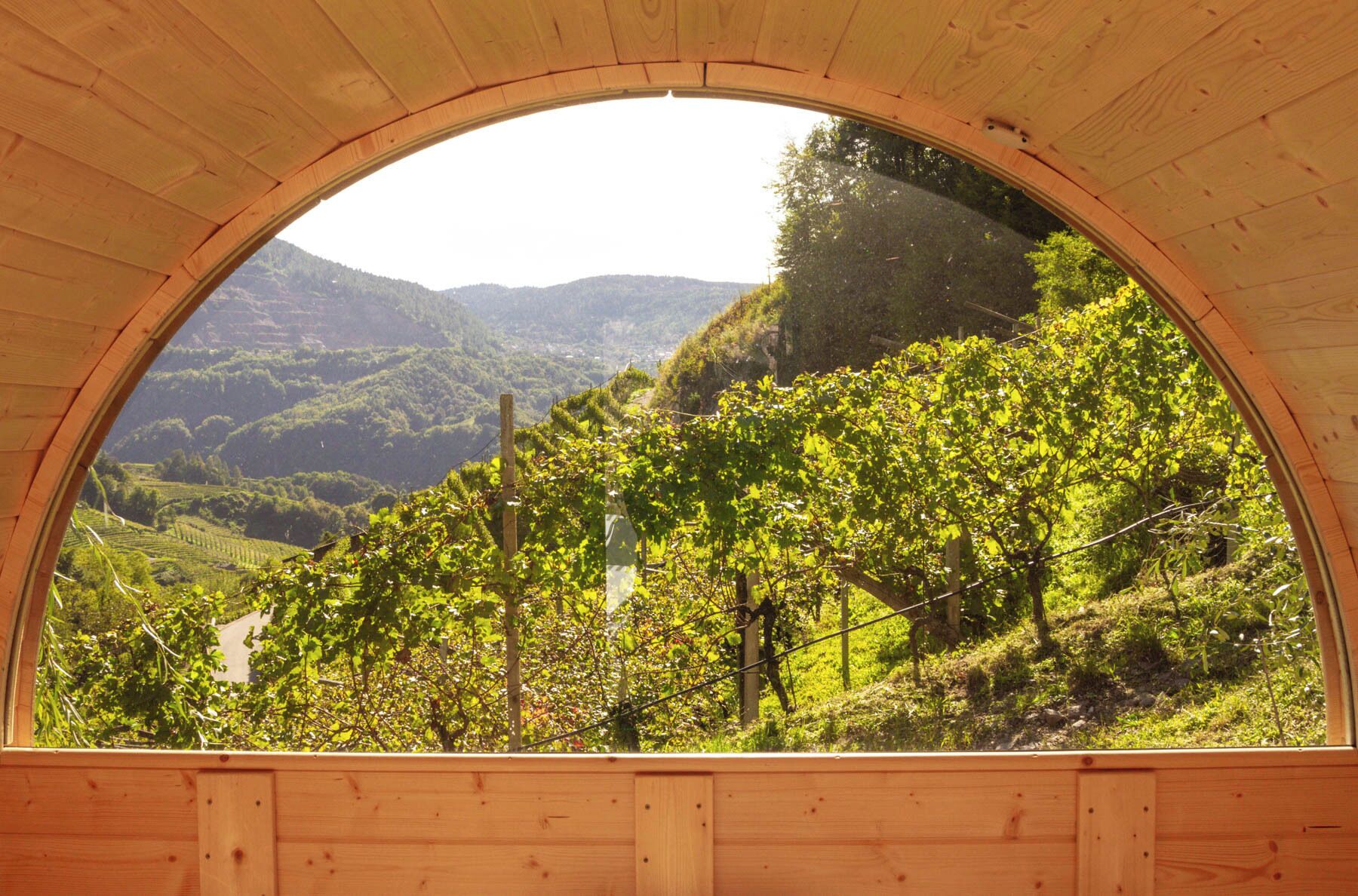 Une structure circulaire en bois offrant une vue sur un vignoble et des collines en arrière-plan.