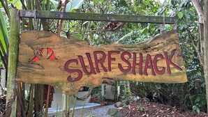 Une enseigne en bois sur laquelle est inscrit le mot « SURFSHACK » en lettres rouges, le tout entouré de verdure.
