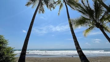 Una spiaggia nelle vicinanze