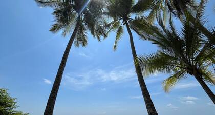 Surf Shack: 5 min to Beach/5 min to Waterfall: Great Wi-Fi - Sleeps 5