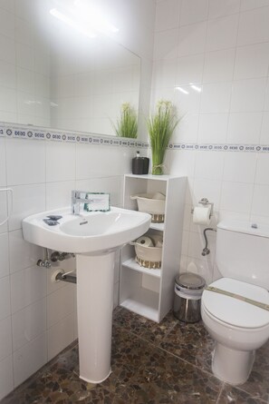 Shower, hair dryer, towels