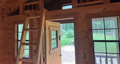 Delightful cabin in Big Rapids for a cozy getaway