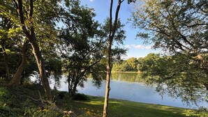 Vista con lago, banco de madera y abundante vegetación.