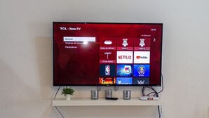 Un téléviseur TCL Roku fixé au mur blanc, avec une étagère en dessous où sont disposés une plante et des objets décoratifs.