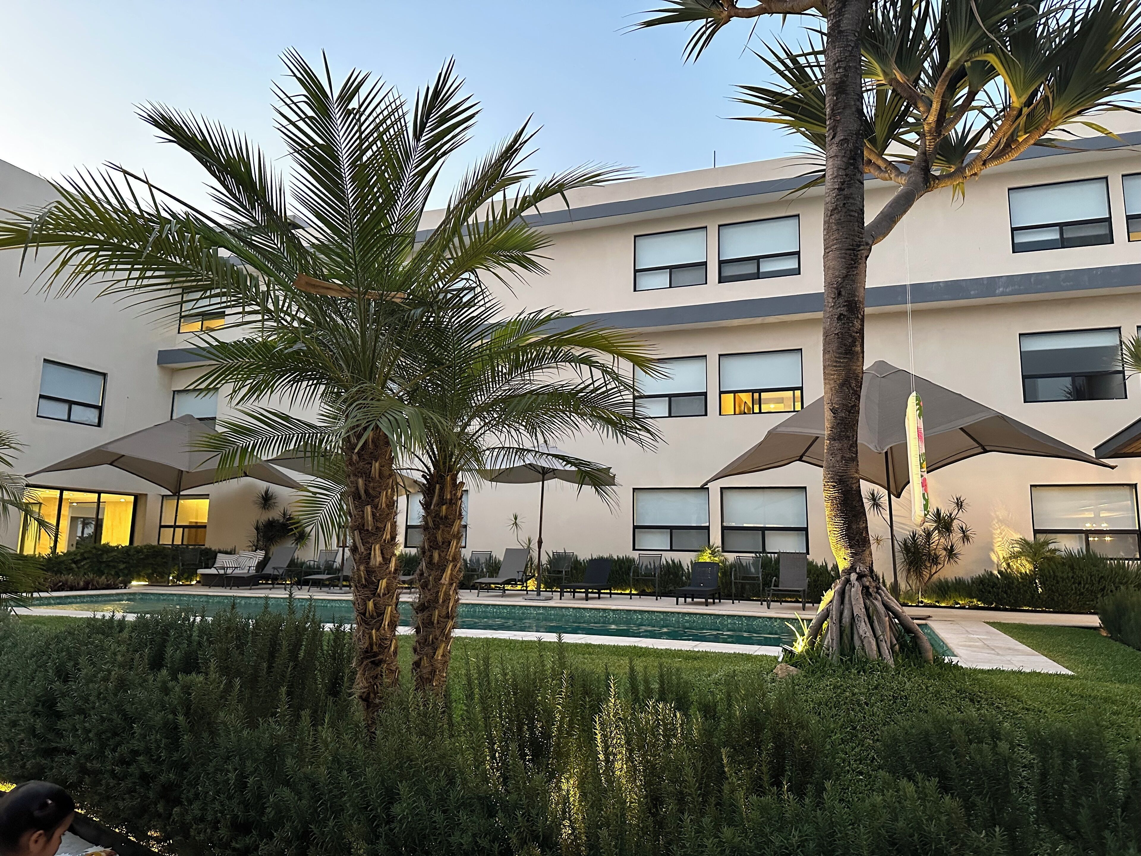 Un edificio moderno con piscina, palmeras y zonas de estar al aire libre.