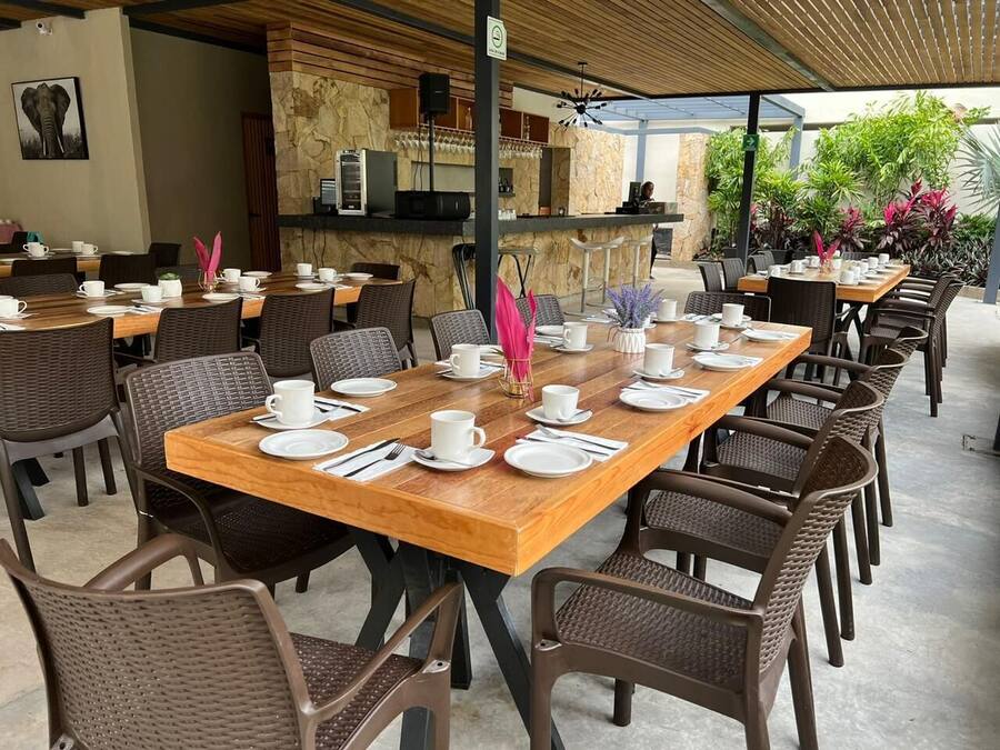 Un restaurante con varias mesas dispuestas para comer, una zona de bar y terraza con plantas.