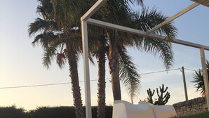 Un espacio al aire libre con césped, palmeras y una estructura blanca.