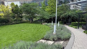 A landscaped area with a curved pathway, green lawn, and various shrubs.