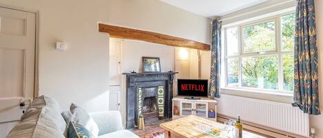 Smart TV, DVD player, books