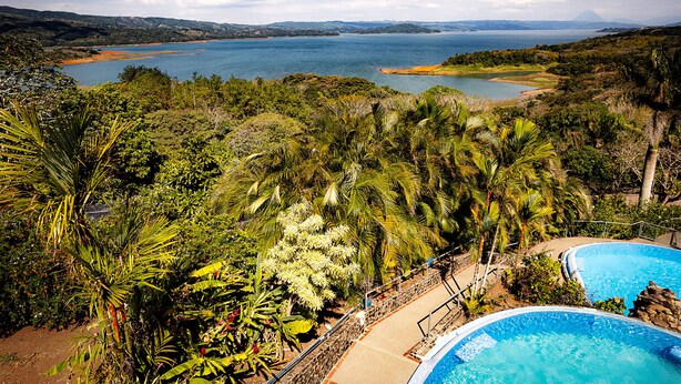 Una piscina rodeada de abundante vegetación y vista a una gran extensión de agua.