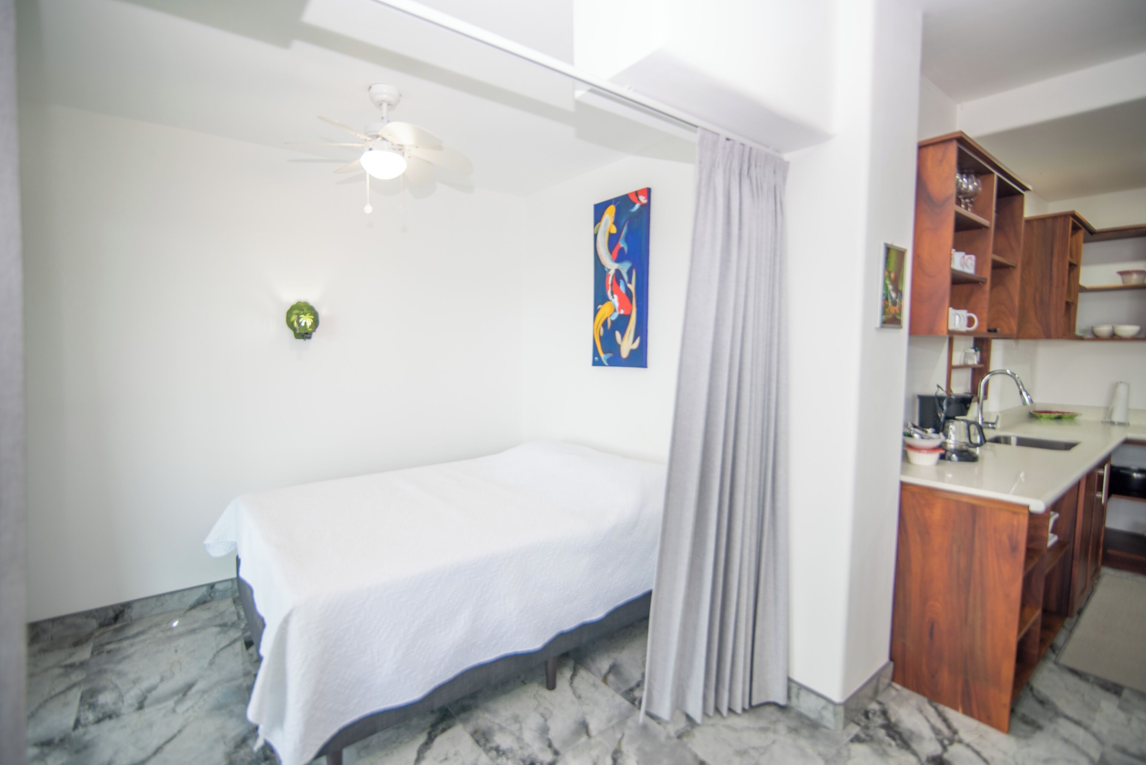 A bedroom with a bed, a ceiling fan, a bathroom with a shower, and a kitchen area with wooden cabinets.