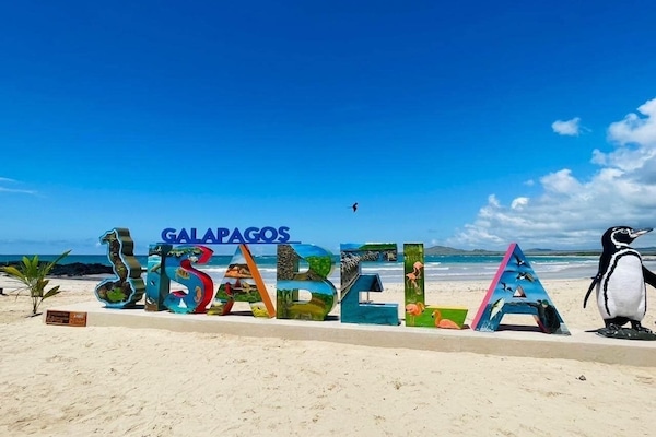 Ilmaiset rantakuljetukset