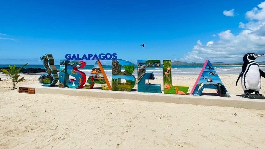 Galápagos Isabela Hotel Loja