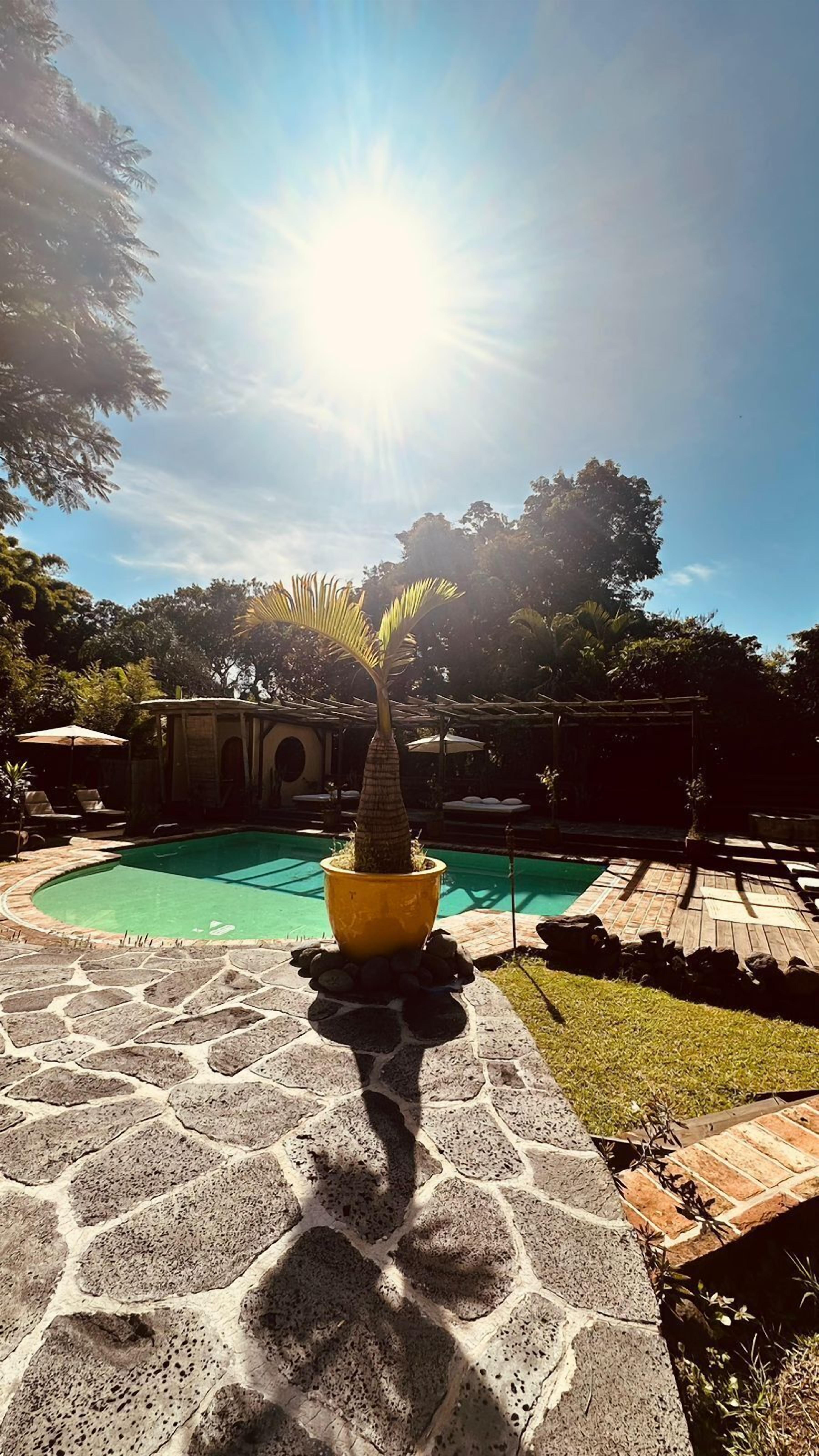 Alberca al aire libre, sombrillas en la alberca y camastros 