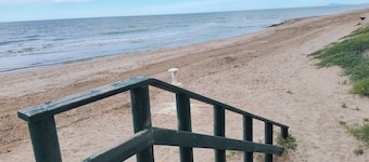 Palmeretes