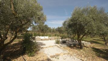 Terrein van de accommodatie