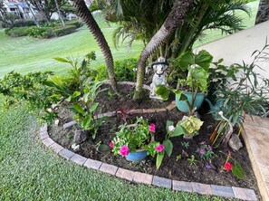 المنطقة المحيطة بالمنشأة