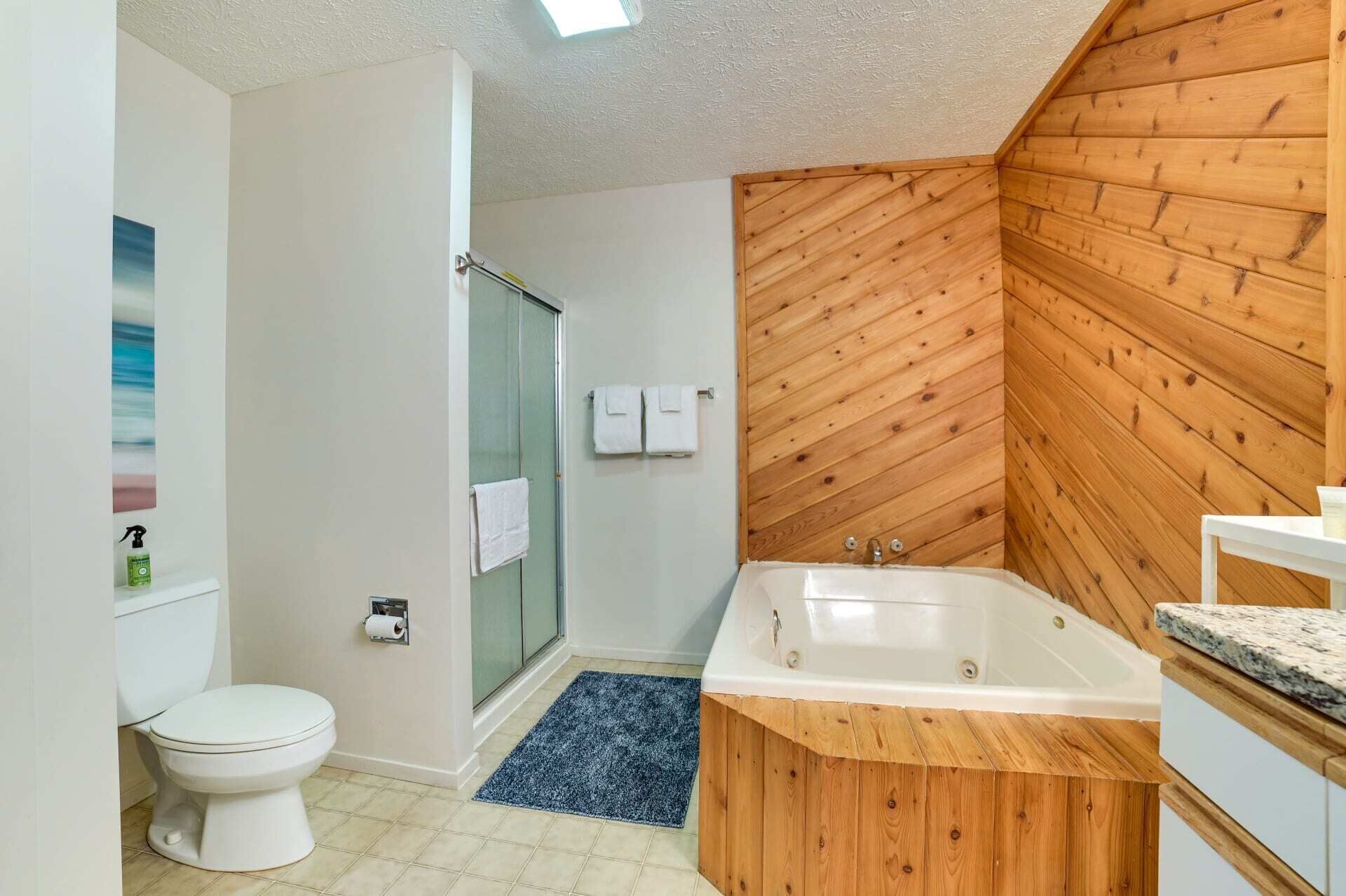 Shower, jetted bath, hair dryer, towels