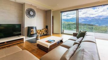 TV, fireplace, offices