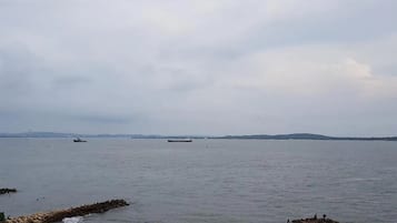 Beach nearby, black sand