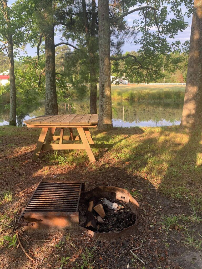 Ein Holztisch mit Picknickbereich und eine Feuerstelle inmitten von Bäumen, im Hintergrund ein Teich.