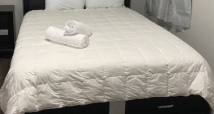 Charming Studio with AC, WiFi in delightful Union