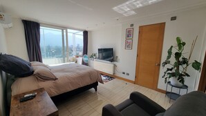Habitación de hotel con cama, televisión, ventana grande, puerta y planta en maceta.