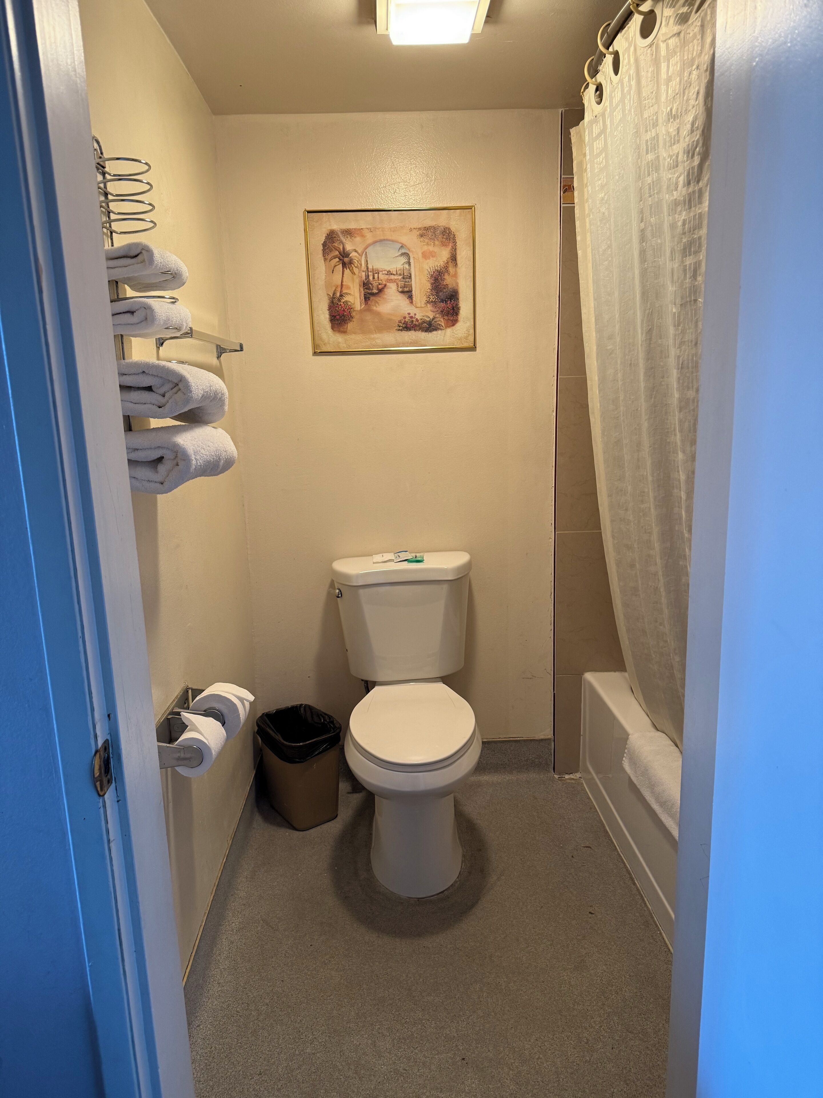 Une salle de bain comprenant des toilettes, une poubelle, un porte-serviettes avec des serviettes, un tableau encadré au mur et un rideau de douche.
