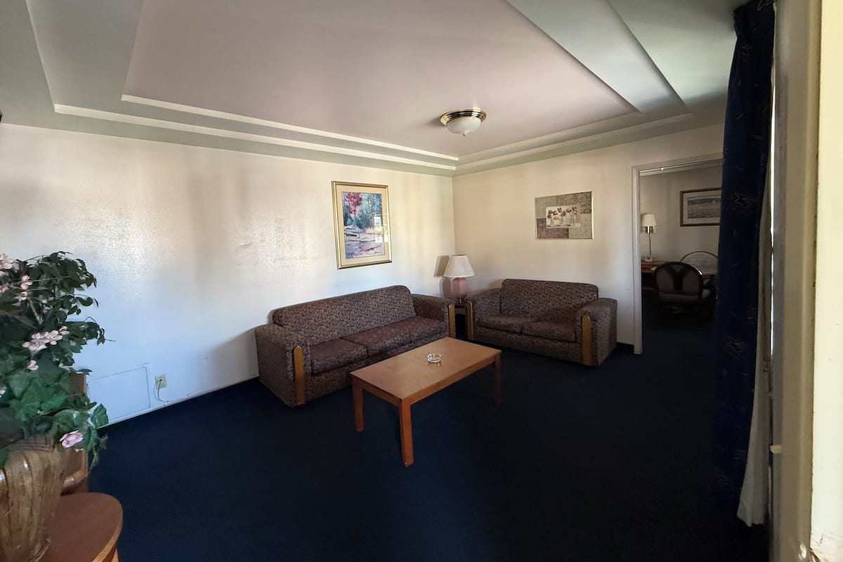 A living room with two sofas, a coffee table, a lamp, and a potted plant.